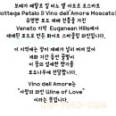 보테가비노