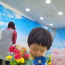 고일어린이집 이미지