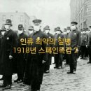 인류 최악의 질병 스페인독감2 이미지