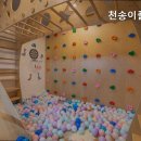 천송이풀빌라