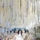 세광교회 개방화장실 | 메종디탈리 견적 가격 식대 27년 당일혜택 공유 웨딩 식사 후기