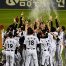 트윈스팜 이미지