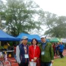 봉개초등학교 이미지