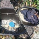 신흥농장2 이미지