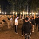 대정게스트하우스 이미지