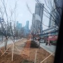금강건기
