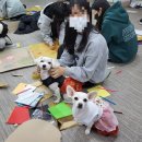 군산 남중학교 이미지