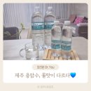 첨단기업로2L(2)-13 | [오리온 닥터유 제주 용암수] 제주 용암해수로 만든 깔끔한 물맛 후기✨