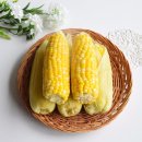 초당순