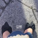 퐁드깜빠뉴 이미지