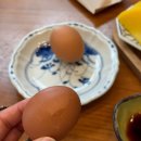 부산시청점심맛집 진화라락시청본점 솔직후기