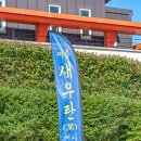 신안군농업기술센터 | 신안군 여름 새우란 특별 전시 감상 후기