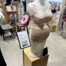 롯데백화점부산본점 마더피아 네이버블로그