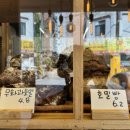 바게뜨베이커리