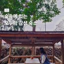 아침햇살민박 | 제주 꽃신민박 후기 나만 알고 싶은 서쪽 오두막 감성숙소
