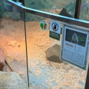 두진농장 | 울산 와글와글 동물원 아이와 가기 좋은 부산 근교 실내 핫플