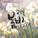 봄비패션