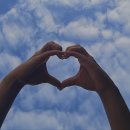 야미하우스 이미지