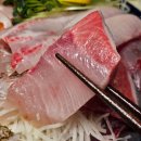 온달포장상인점 | 가락시장 방어회 포장맛집 온달수산/ 가락시장 횟집 추천 온달수산