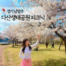 이마트24 남양주트레지움 | 경기 남양주 벚꽃명소 다산생태공원 개화현황, 서울 근교 아기랑 피크닉 갈만한 곳 추천 (주차, 주말)