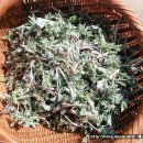 산수황토방