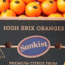 오렌지장 이미지