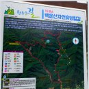 원주굽이길 15코스 백운산자연휴양림길 이미지