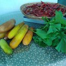 꿈의 정원 이미지