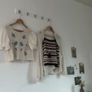 레프트핸더 스테이 이미지