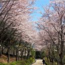 수진축구장 이미지