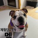 얌얌잉글리쉬 이미지