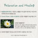 이뉴 티스토리