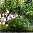 연세삐아제 어린이집 이미지