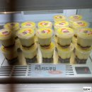 (주)주디마리전대 이미지