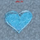 서대산농장 이미지