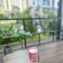 레오PC | 강아지산책물병 위드레오 물통 간식통 일체형