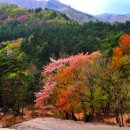 천사의 선물 이미지