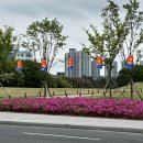 (주)가야미 | 김해 가야문화축제 행사정보 및 주차장위치 행사후기