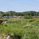 전주밥상 이미지