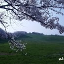 선이목장 이미지