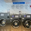 워시팡팡원주