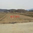 용산면사무소 버스정류장 이미지