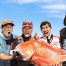 도시어부 이미지