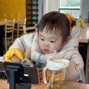 삼척전복해물뚝배기 이미지