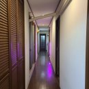 멍멍하우스 이미지