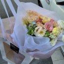 토담고디탕 | 암생존일기 26 - 유방암 세포독성 TC 항암 4차 기록...부작용 후기