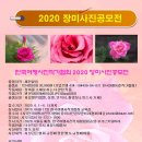﻿한국여행사진작가협회 2020 장미사진공모전(2020.06.01~06.15) 이미지