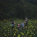 무주 여행지 정보 가 볼 만한 곳 베스트 14(농촌체험지도사 김선희 강사 강의 여행기 3탄)