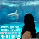 빛나 여행 일본어 | [10월 후쿠오카] Day 4. 기타큐슈 여행 시모노세키 카이쿄칸 수족관 후기