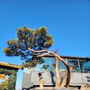 예당관광농원 디에이치(풀빌라) 이미지